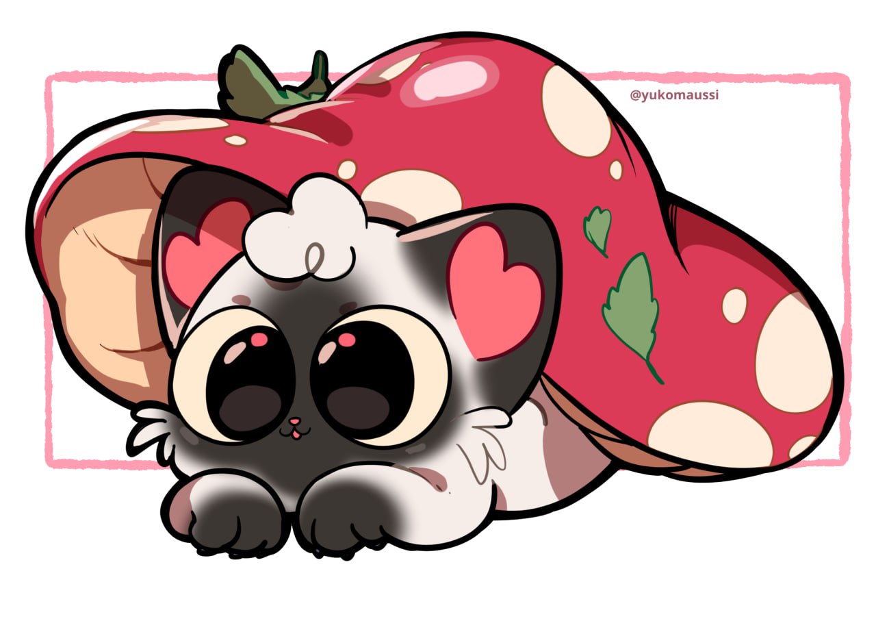 Mushroom kitten